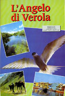 Angelo di Verola